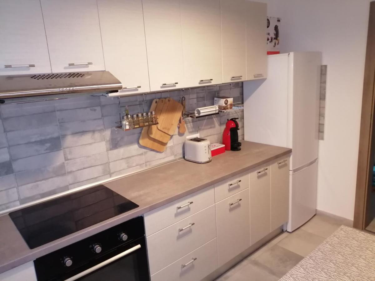 Maurer Loft Lägenhet Târgu-Mureş Exteriör bild