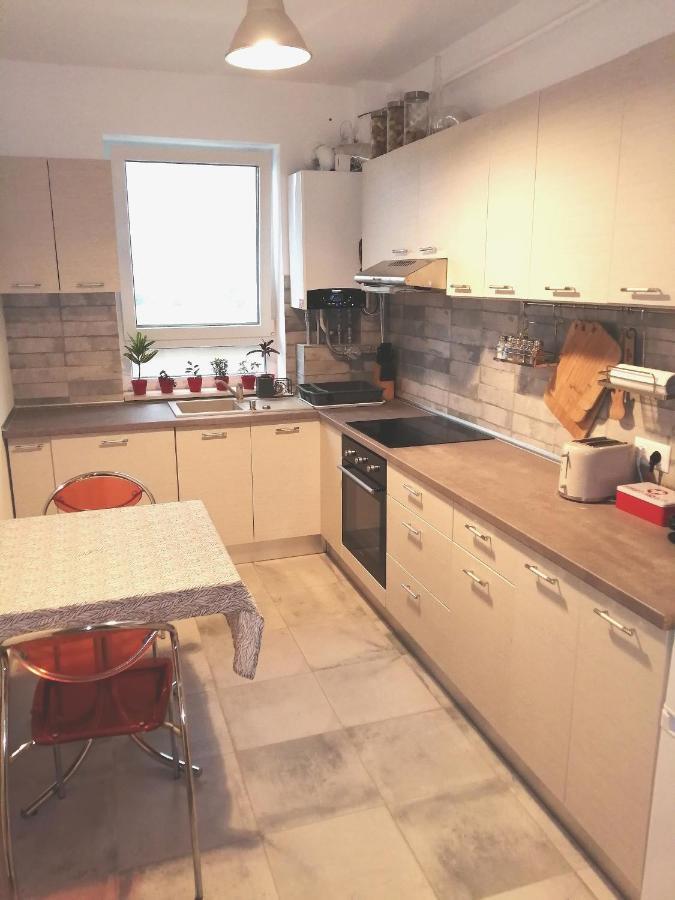Maurer Loft Lägenhet Târgu-Mureş Exteriör bild